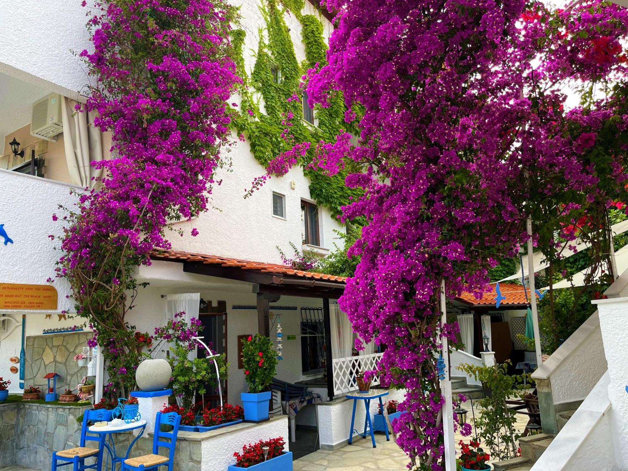 Haus Niko Apartments And Suites Nea Poteidaia Bagian luar foto