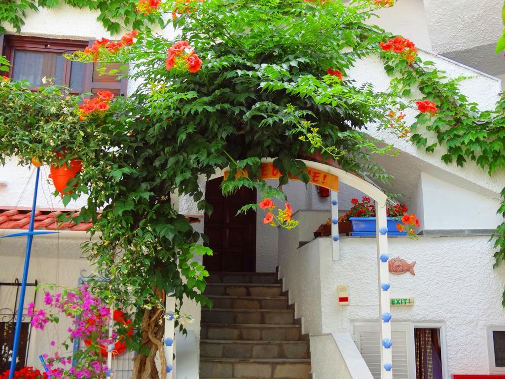 Haus Niko Apartments And Suites Nea Poteidaia Bagian luar foto