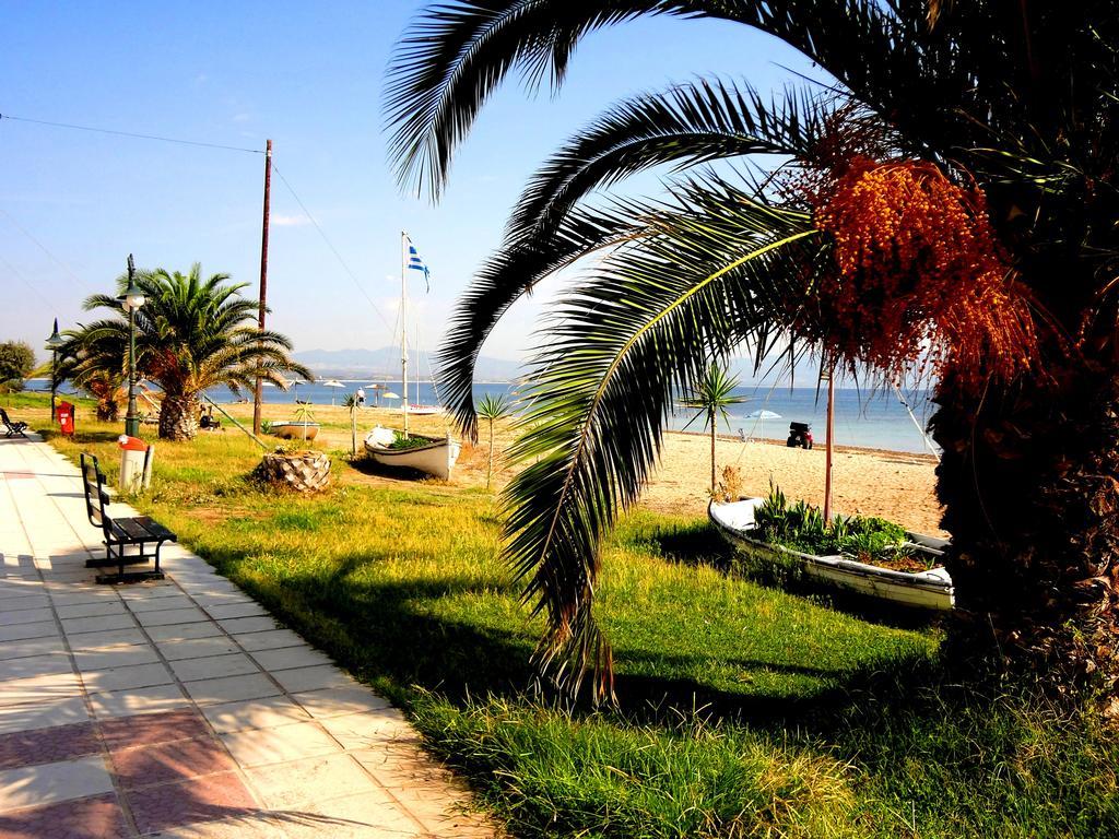 Haus Niko Apartments And Suites Nea Poteidaia Bagian luar foto